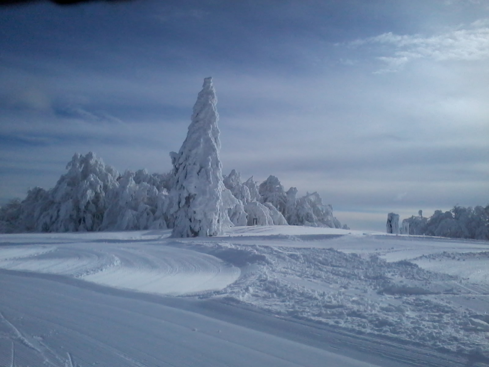2015-02-04 11.16.29.jpg
