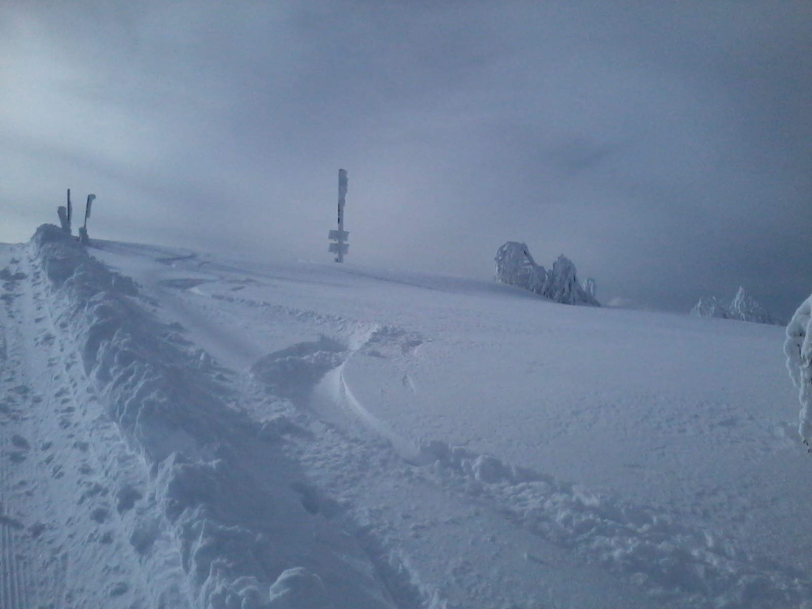 2015-02-04 11.39.23.jpg