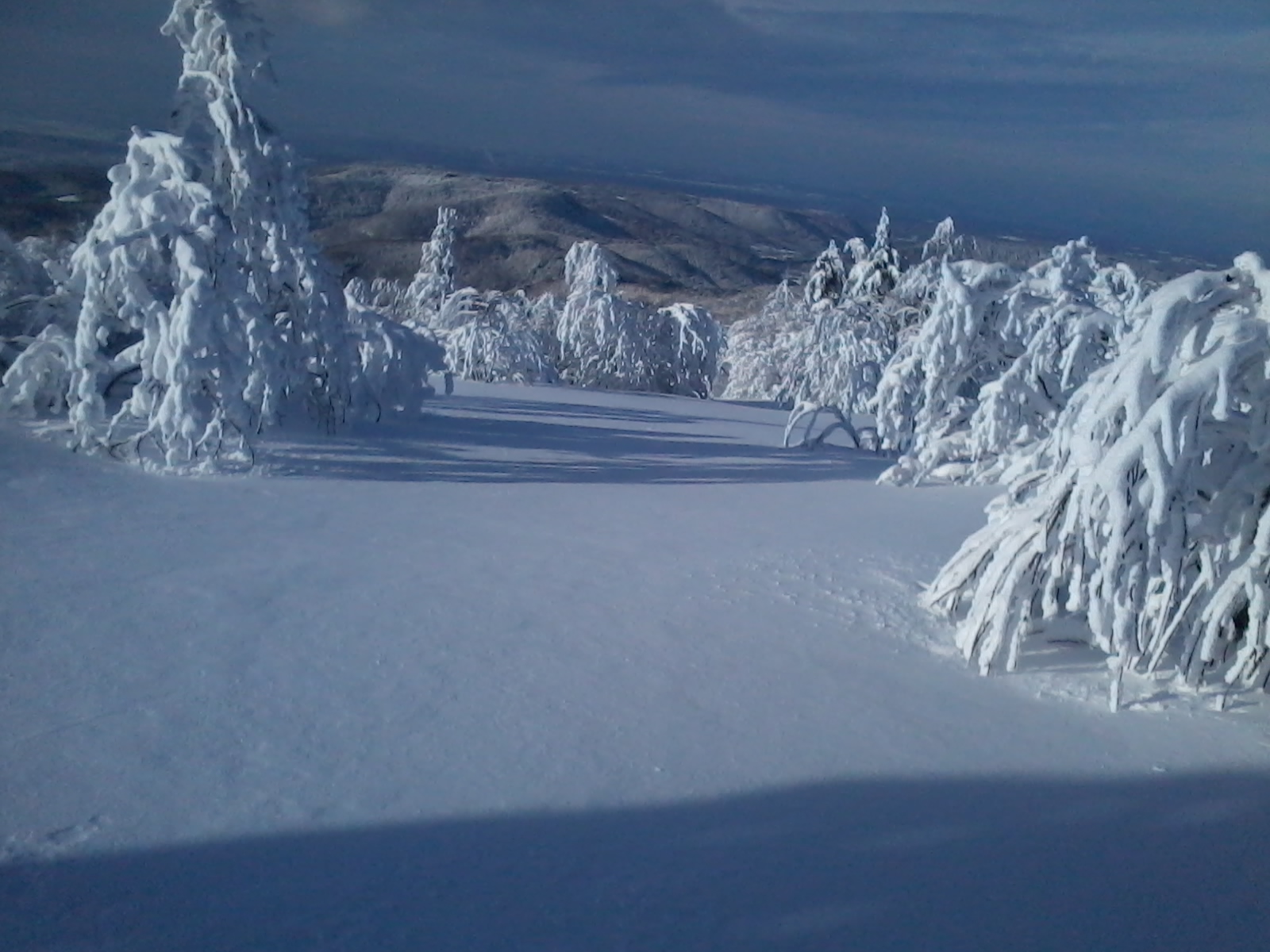 2015-02-04 10.00.35.jpg