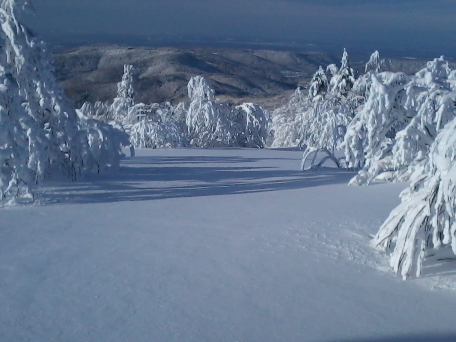 2015-02-04 10.01.20.jpg