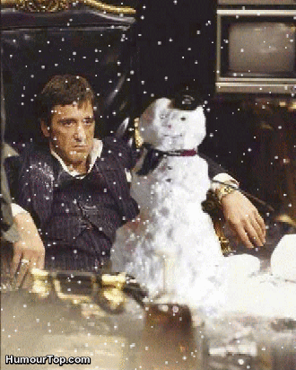la neige apporte le bonheur.gif