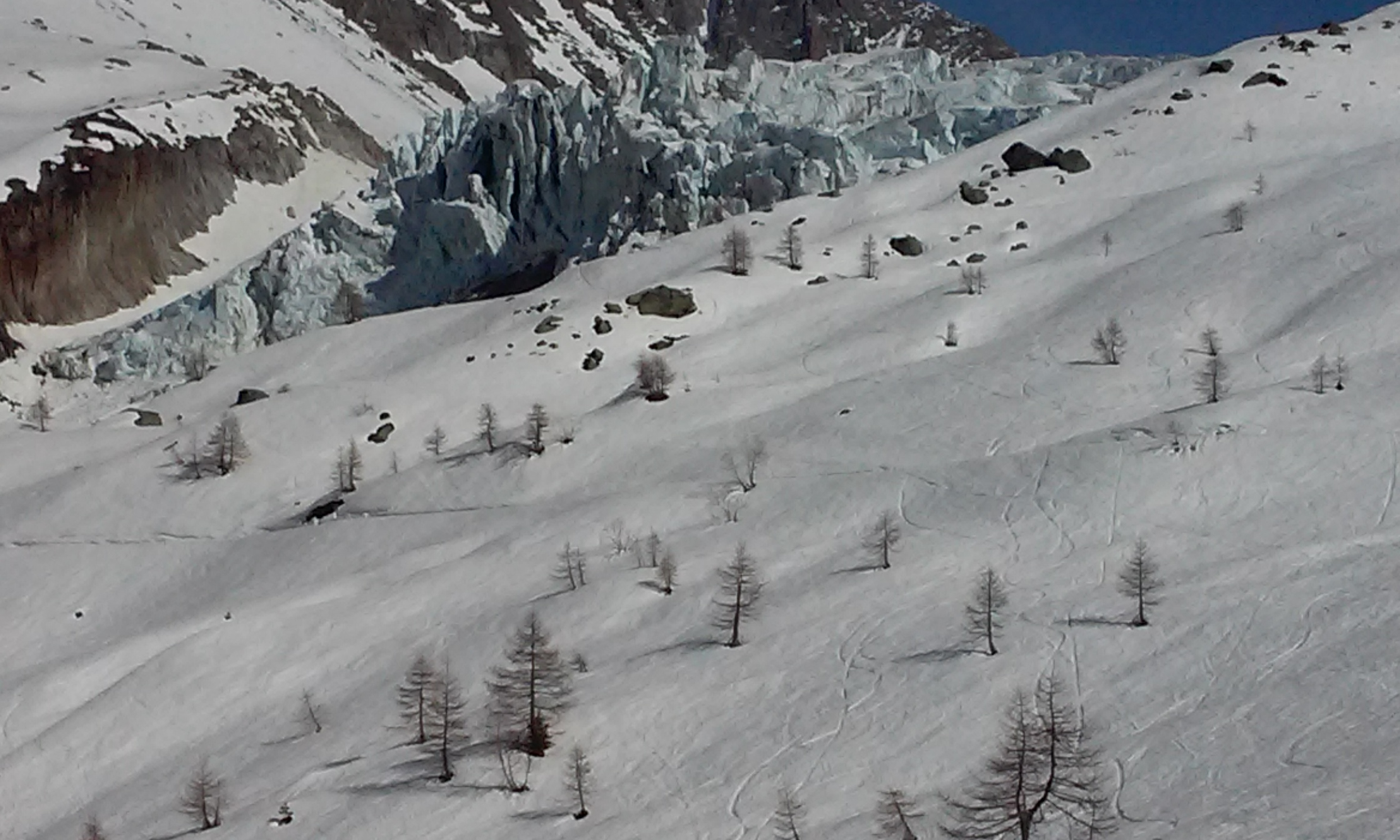 Glacier d' argentière