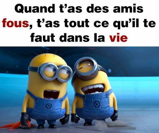 amis fous.jpg