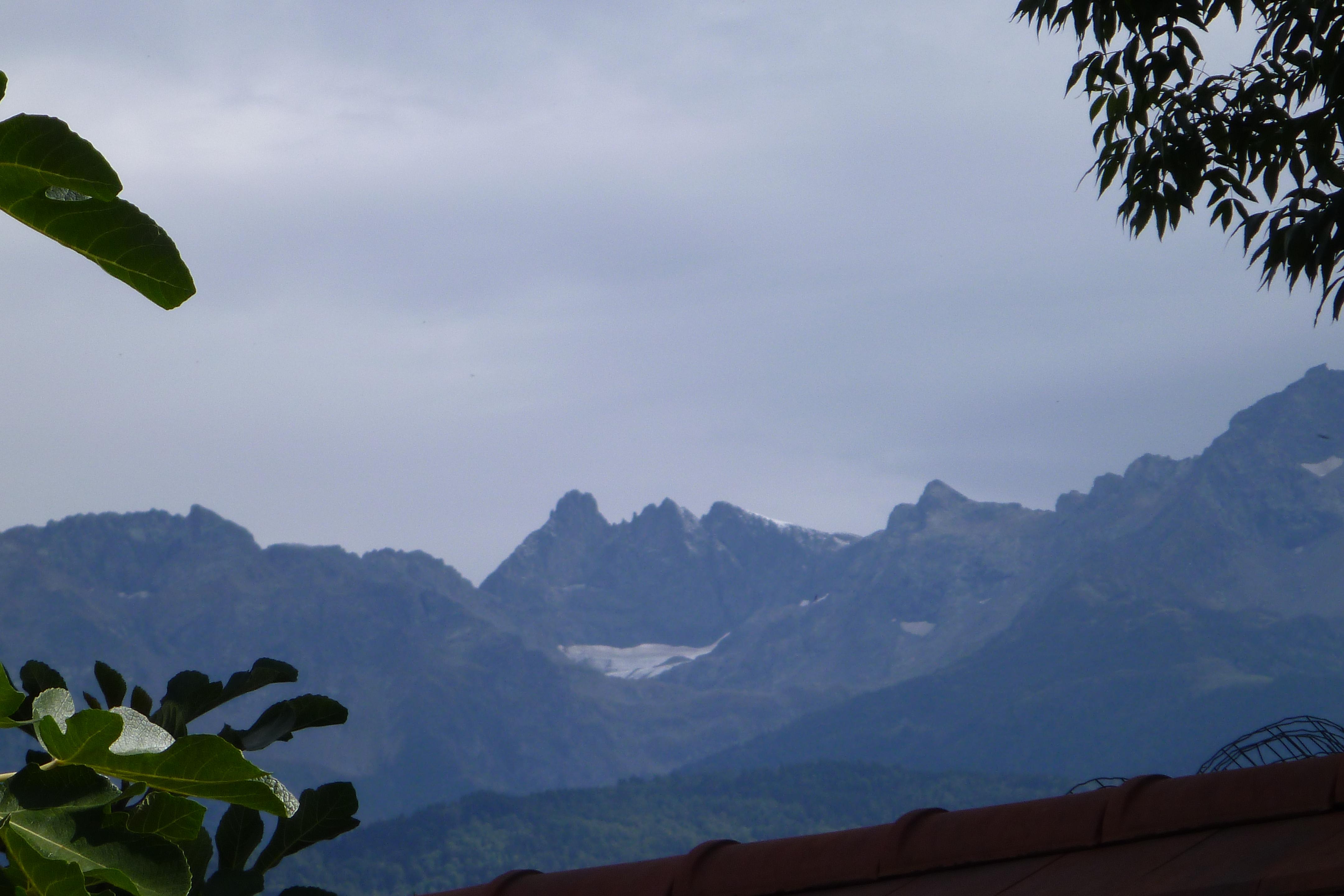 Premiers flocons.JPG