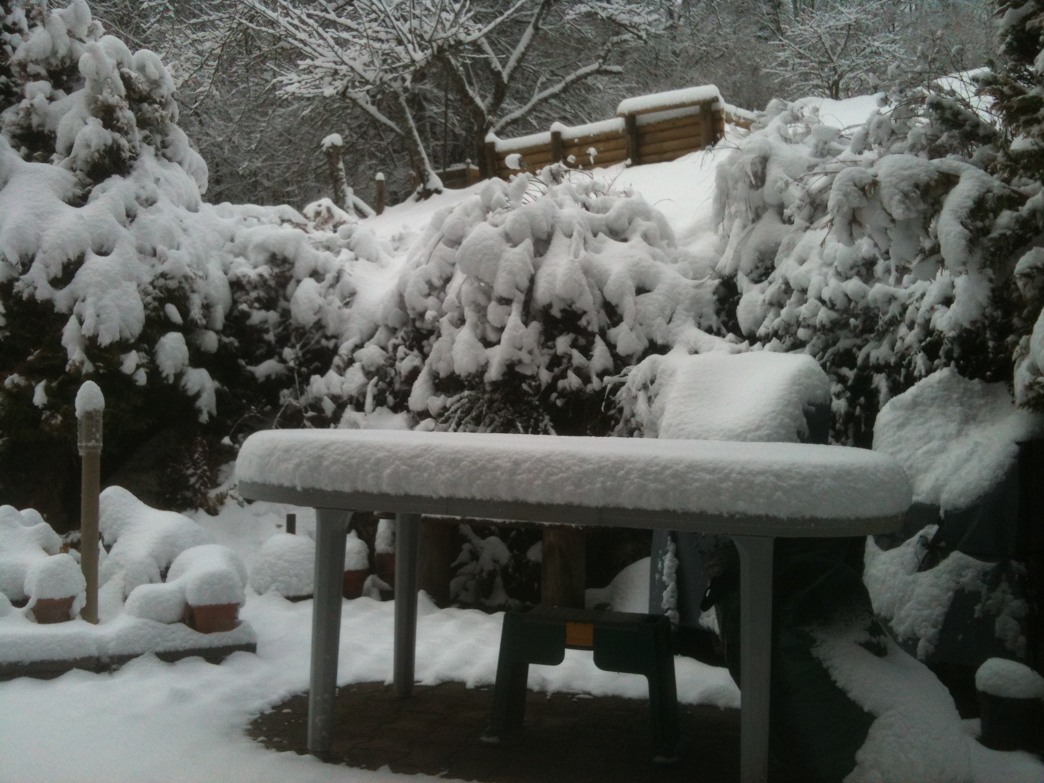 Jardin du matin