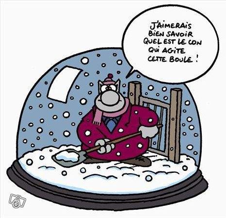 chat boule.JPG