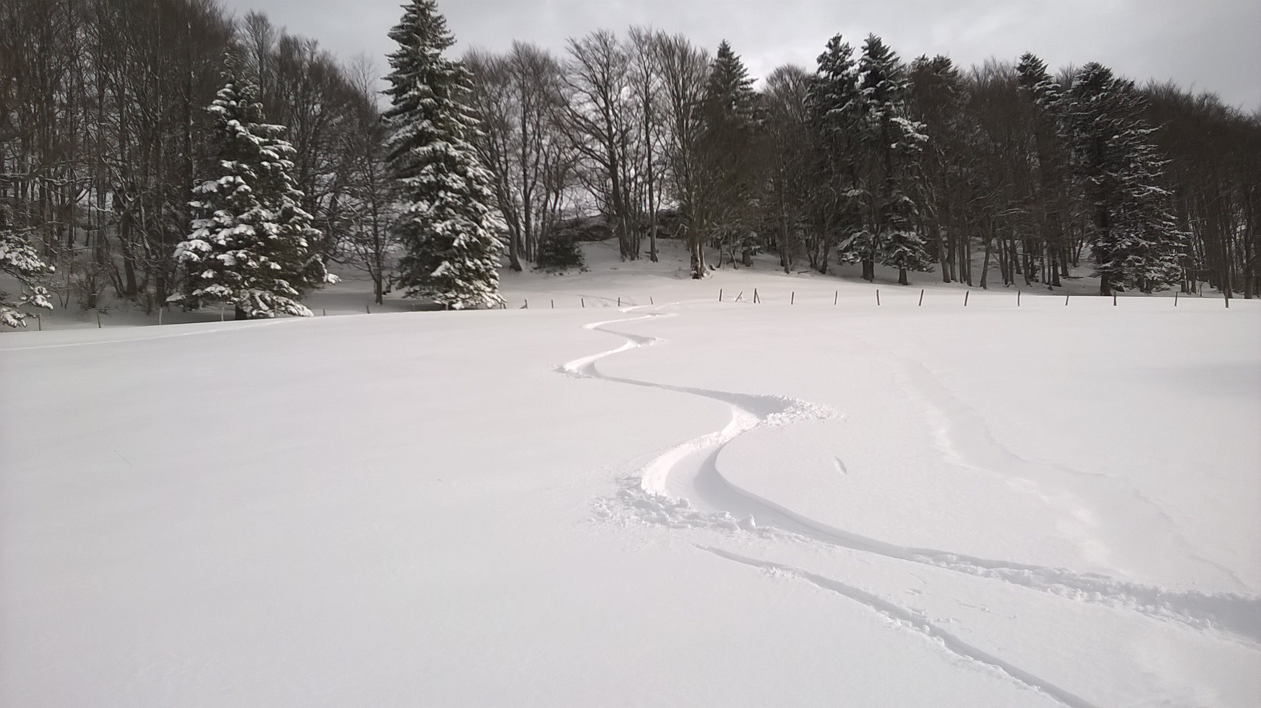 WP_20160309_16_01_05_Pro.jpg