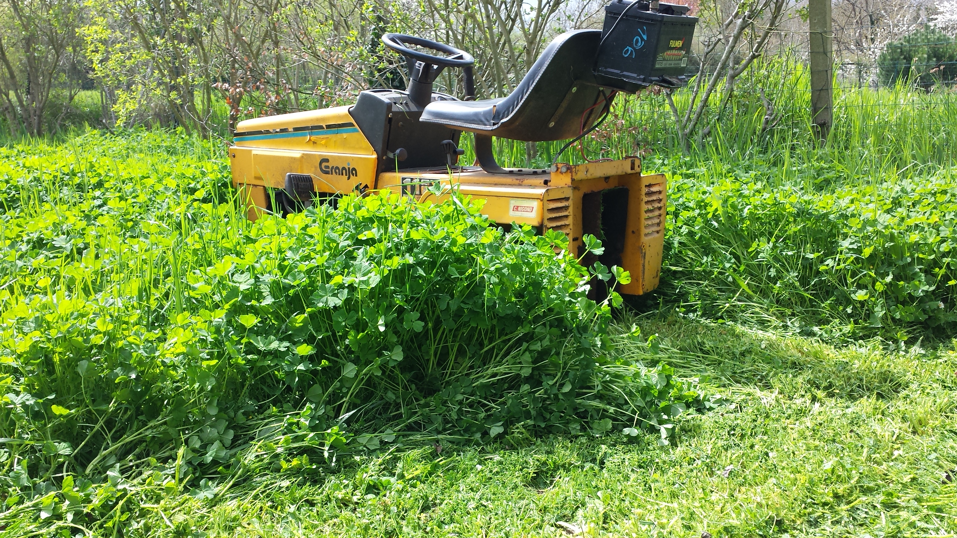 20160416_141203.jpg