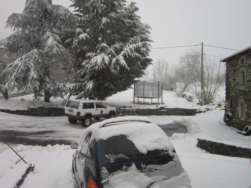 855029IMG4131.jpg