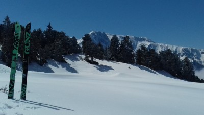 20190430_110103.jpg
