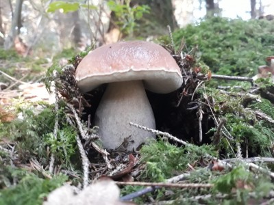 20190829_100412.jpg