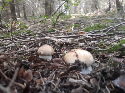 20190827_102153.jpg