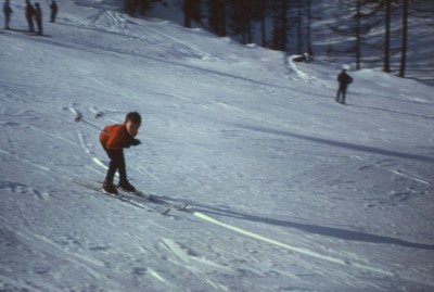 img259.jpg