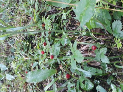 20190802_121035.jpg