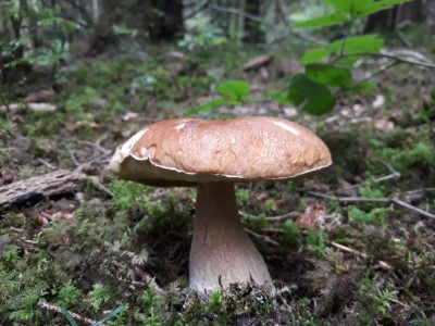 20190905_153849.jpg