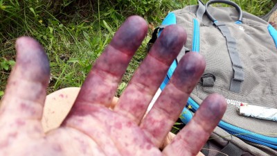 20190817_163032.jpg