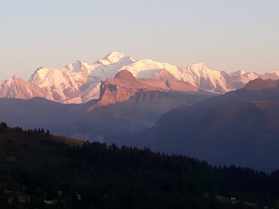 20190825_201611.jpg