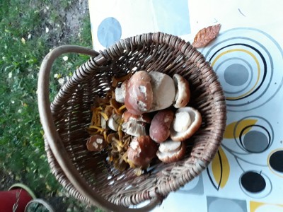 Idem