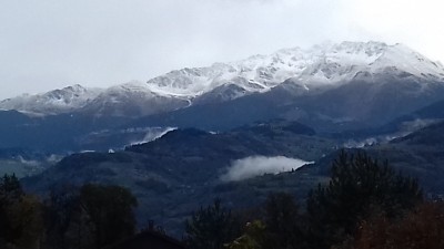 20191103_125300.jpg