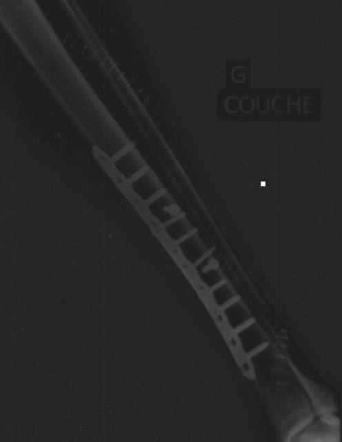 xray_after.jpg