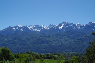 IMGP8698.JPG