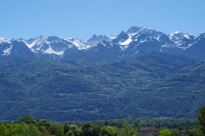 IMGP8695.JPG