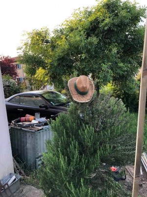 Jardin4.jpg
