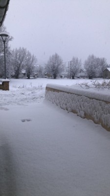 IMG_3715.jpg