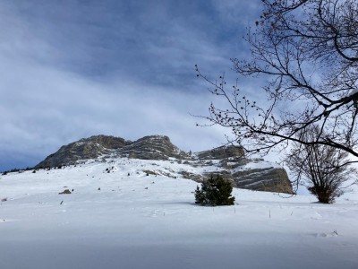 Pravouta 10 12 20 (1).JPG