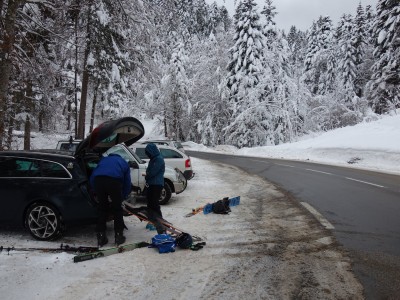 Foret Charmant Som 11 12 20 (1).JPG