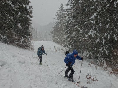 Foret Charmant Som 11 12 20 (3).JPG