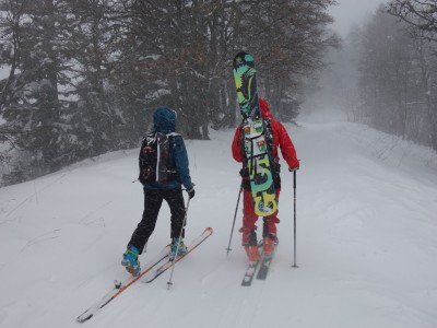 Foret Charmant Som 11 12 20 (5).JPG