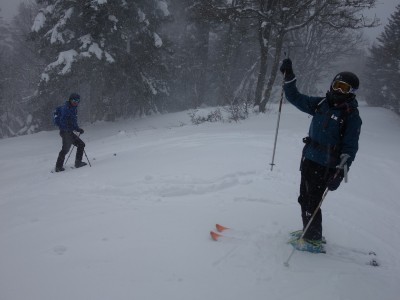 Foret Charmant Som 11 12 20 (7).JPG