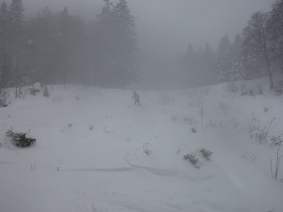 Foret Charmant Som 11 12 20 (8).JPG