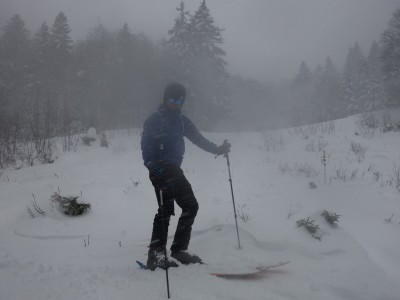 Foret Charmant Som 11 12 20 (9).JPG