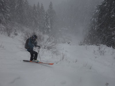 Foret Charmant Som 11 12 20 (10).JPG