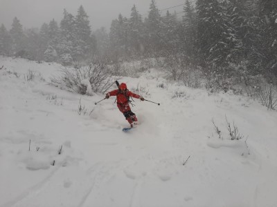 Foret Charmant Som 11 12 20 (11).JPG