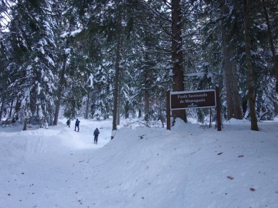 Chamechaude 14 12 20 (1).JPG