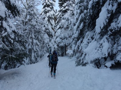 Chamechaude 14 12 20 (2).JPG