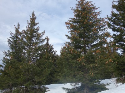 Oursière 23 12 20 (19).JPG