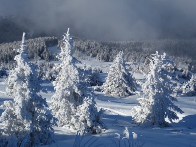 Oursière again (7).JPG