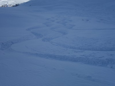Oursière again (14).JPG