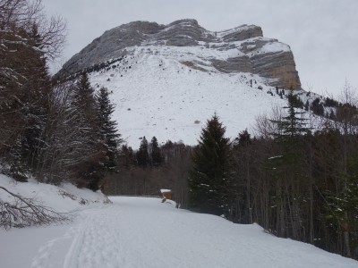 Huitres à Ch Nardent 27 12 20 (4).JPG