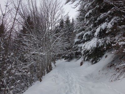 Huitres à Ch Nardent 27 12 20 (5).JPG