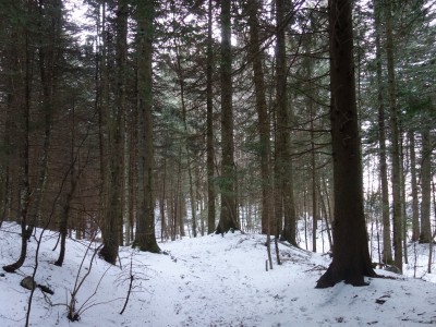 Huitres à Ch Nardent 27 12 20 (9).JPG