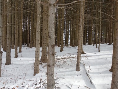 Huitres à Ch Nardent 27 12 20 (10).JPG