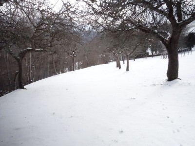 Huitres à Ch Nardent 27 12 20 (16).JPG