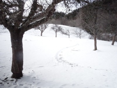 Huitres à Ch Nardent 27 12 20 (14).JPG