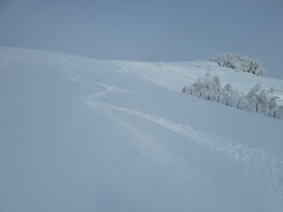 Pleins de courbasses ,,,premières de l année