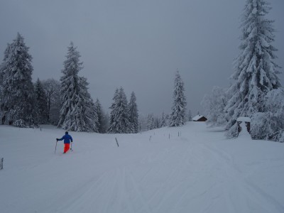 Vallée de Joux 67 01 21 (17).JPG